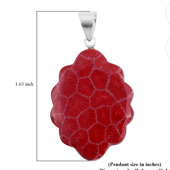 NEW Sponge Coral Fancy Pendant in Sterling Silver - Picture 7 of 7